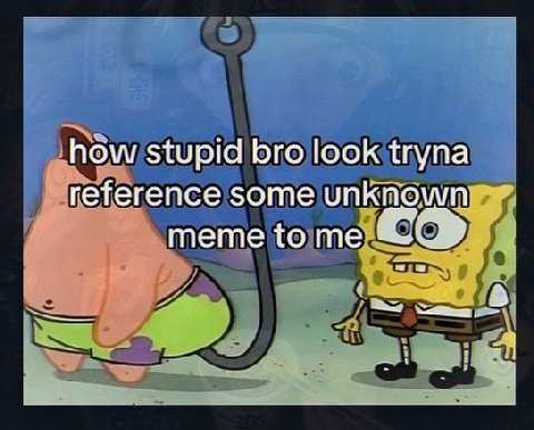 how stupid bro look tryna reference some unknown meme to me