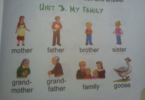 UNIT 3. My FAMILY mother father brother sister grand- father family goose