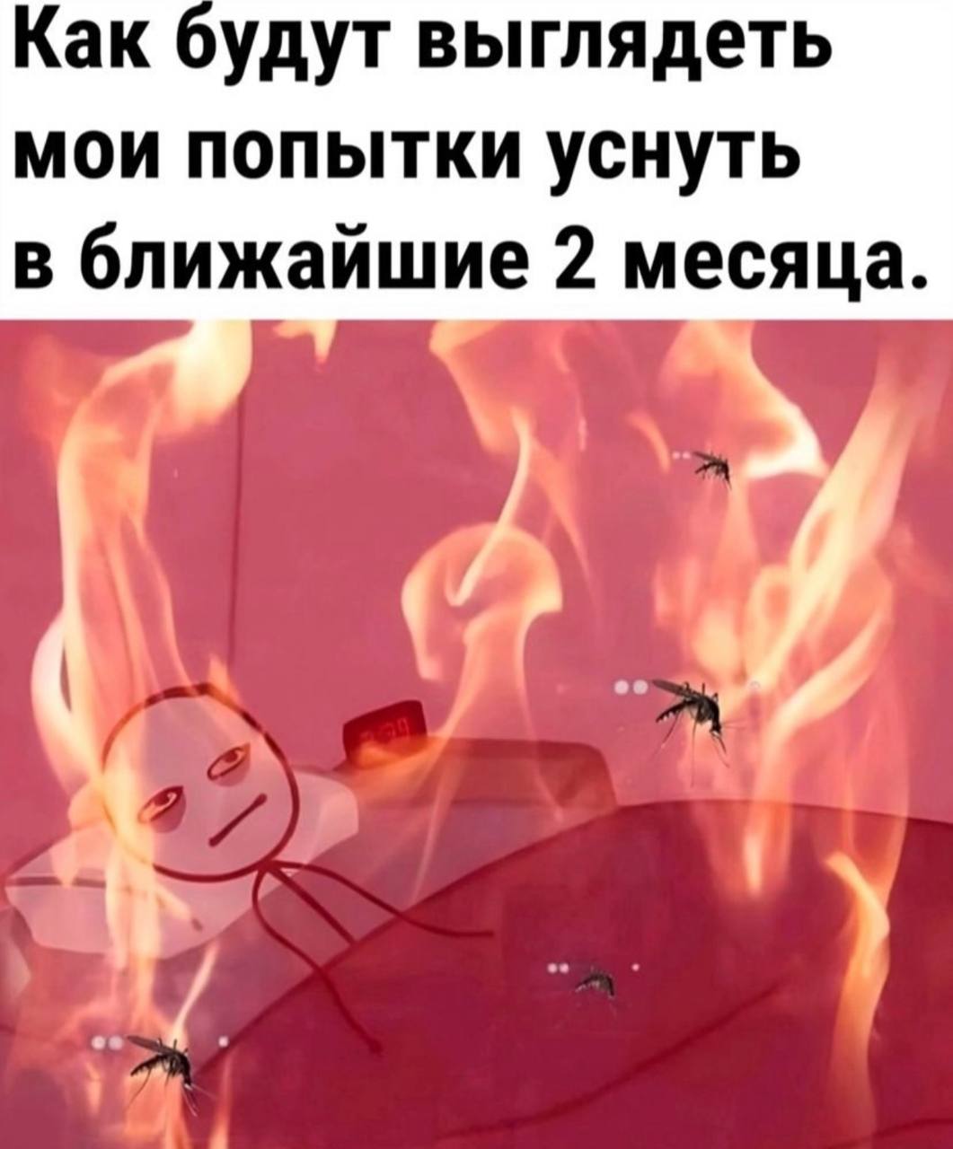 Как будут выглядеть мои попытки уснуть в ближайшие 2 месяца.