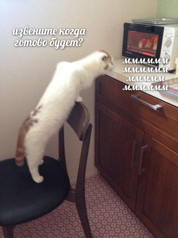 a будет