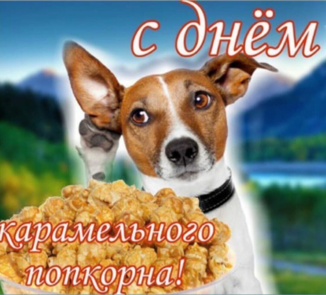 с днём INCA “4 понкорна!