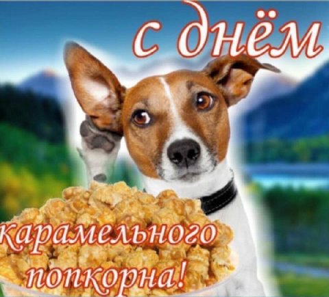 с днём INCA “4 понкорна!