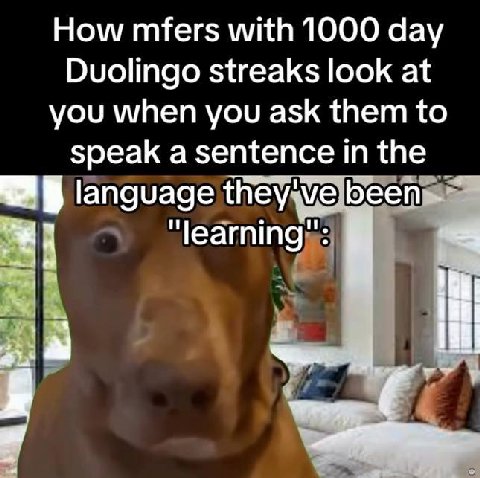 How mfers with 1000 day Duolingo streaks look at you when you ask them to speak a sentence the language they've been "learning":