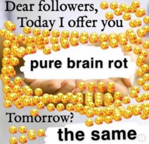 ear followers, Today I offer у риге brain rot the same