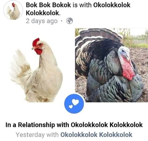 Bok Bok Bokok is with Okolokkolok Kolokkolok. адо i In a Relationship with Okolokkolok Kolokkolok Yesterday with Okolokkolok Kolokkolok