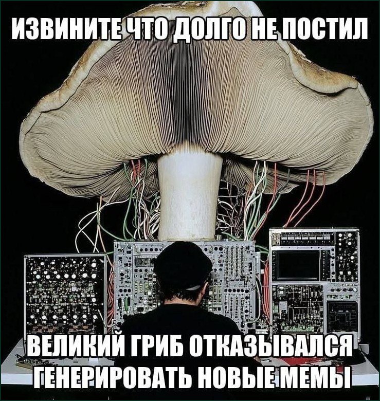 ИЗВИНИТЕЧТО долго НЕ постил in 4 it iit if i и в 4 4 6\ i ВЕЛИКИЙ ГРИБ ОТКАЗЫВАЛСЯ НОВЫЕМЕМЫ