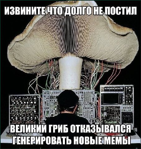 ИЗВИНИТЕЧТО долго НЕ постил in 4 it iit if i и в 4 4 6\ i ВЕЛИКИЙ ГРИБ ОТКАЗЫВАЛСЯ НОВЫЕМЕМЫ