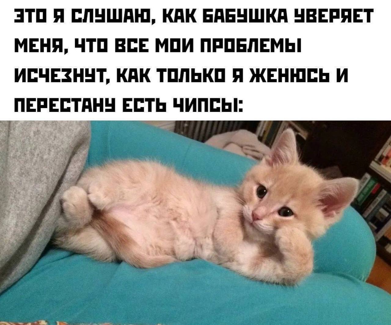 3TO я СЛУШАЮ, КАК БАБУШКА УВЕРЯЕТ МЕНЯ, ЧТО ВСЕ МОИ ПРОБЛЕМЫ ИСЧЕЗНУТ, КАК ТОЛЬКО Я ЖЕНЮСЬ И ПЕРЕСТАНУ ЕСТЬ ЧИПСЫ: 4