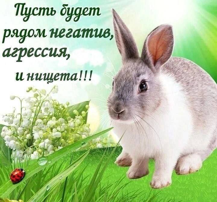 oygem ядом негатив, i агрессия, 322 3%