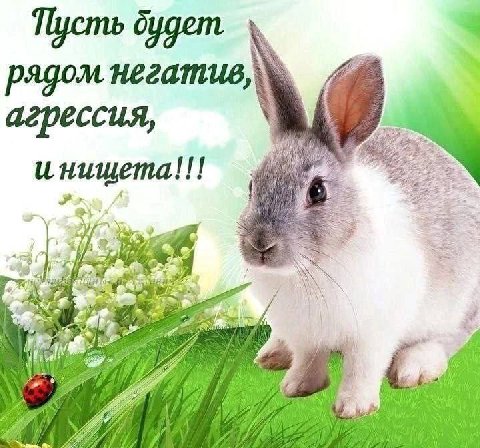 oygem ядом негатив, i агрессия, 322 3%
