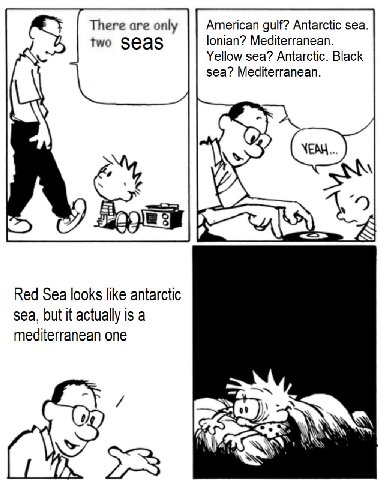 There are only American gulf? Antarctic sea. two Seas lonian? Mediterranean. Yellow sea? Antarctic. Black sea? Mediterranean. ЗЕМ A Red Sea looks like antarctic sea, but it actually is a mediterranean