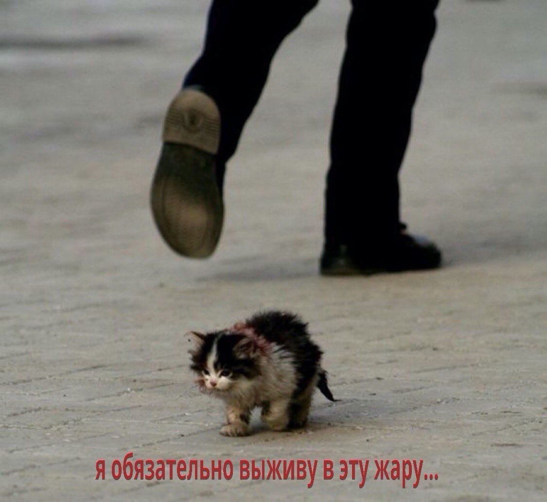 9.008 1 обязате ВЫЖИВУ В ужару..