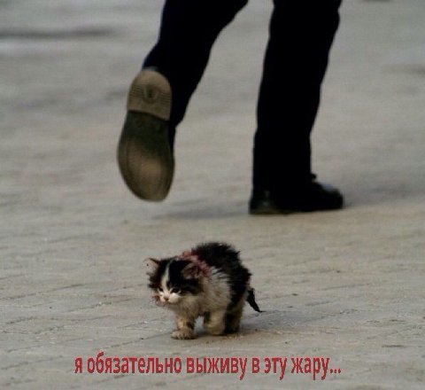 9.008 1 обязате ВЫЖИВУ В ужару..
