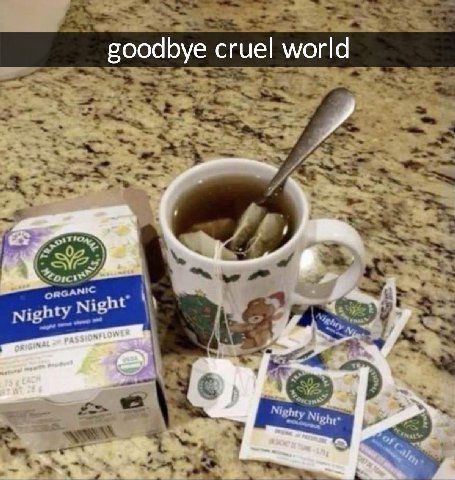 goodbye cruel world Night
