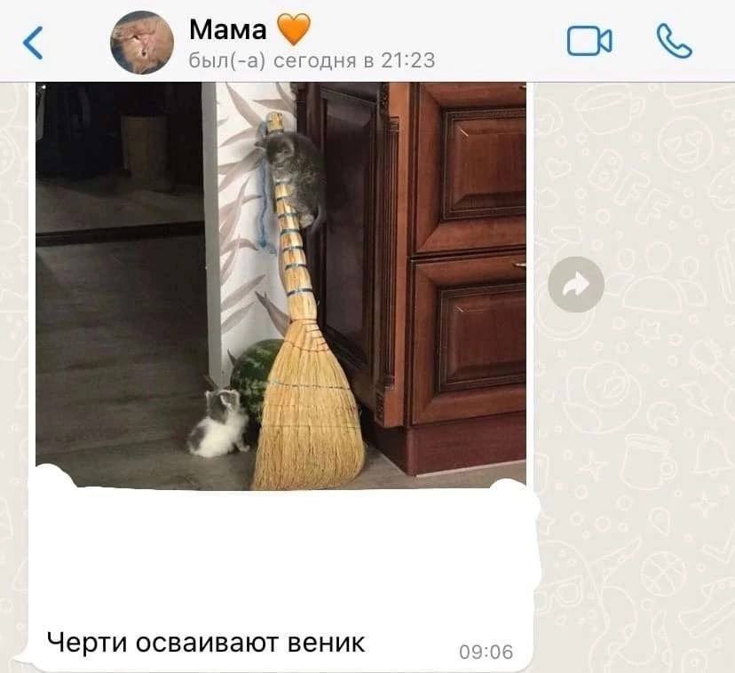 С был(-а) сегодня в 21:23 и Черти осваивают веник 09:06
