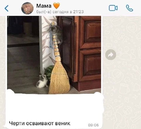 С был(-а) сегодня в 21:23 и Черти осваивают веник 09:06