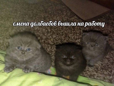 смена на радоту