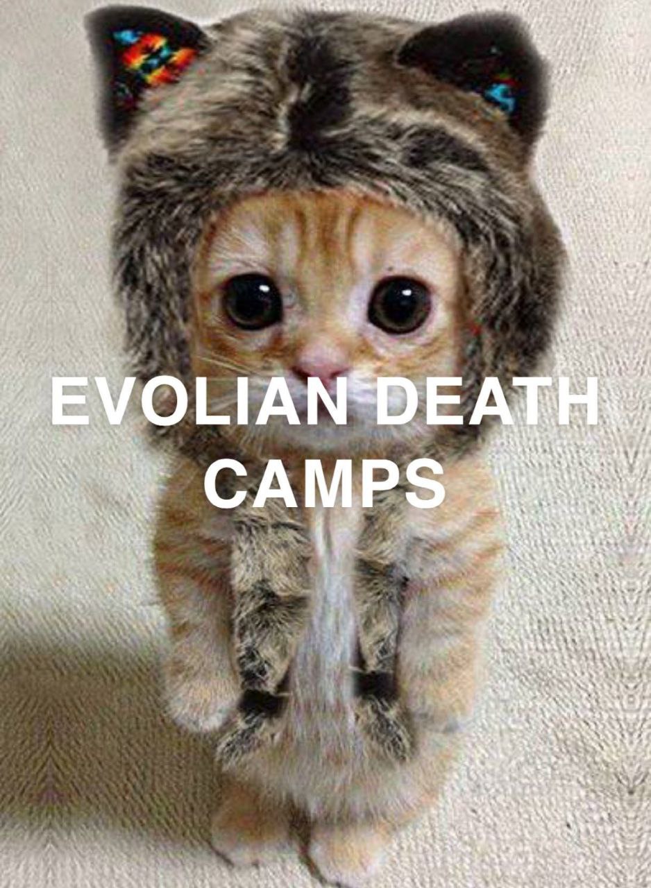 EVO А A CAMPS 4
