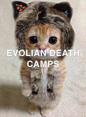 EVO А A CAMPS 4