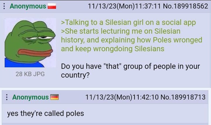 Anonymous 11/13/23(Моп)11:37:11 №.189918562 to a Silesian girl on a social app >She starts lecturing me on Silesian history, and explaining how Poles wronged and keep wrongdoing Silesians you have "th