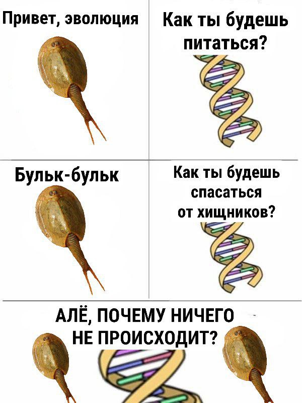 Привет, эволюция Как ты будешь питаться? Бульк-бульк Какты будешь a спасаться от хищников? ПОЧЕМУ НИЧЕГО НЕ ПРОИСХОДИТ?