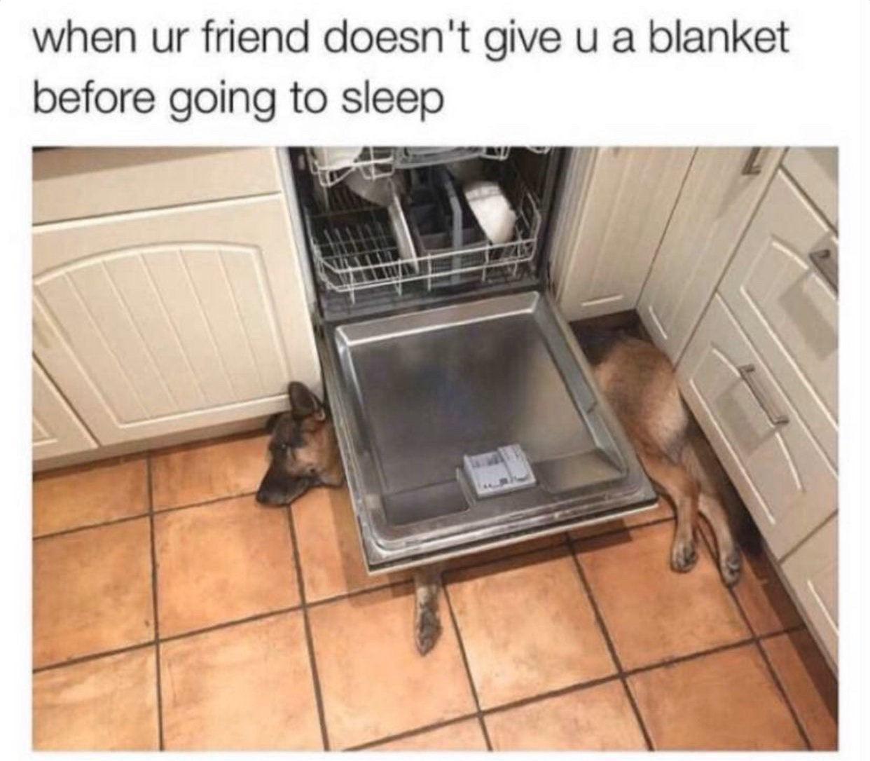 when friend doesn't give и a blanket before going to sleep IN