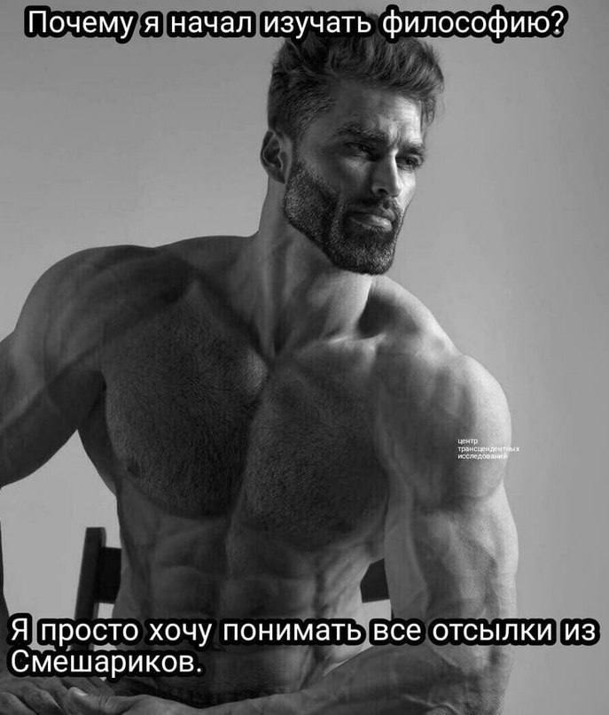 Почему я начал изучать философию? Я просто хочу понимать все отсылки из Смешариков.