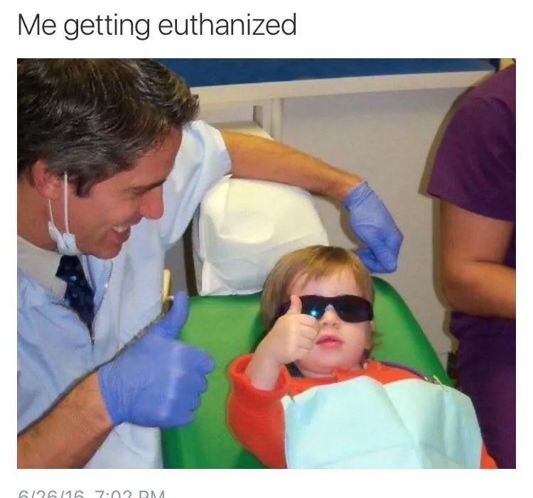 Me getting euthanized