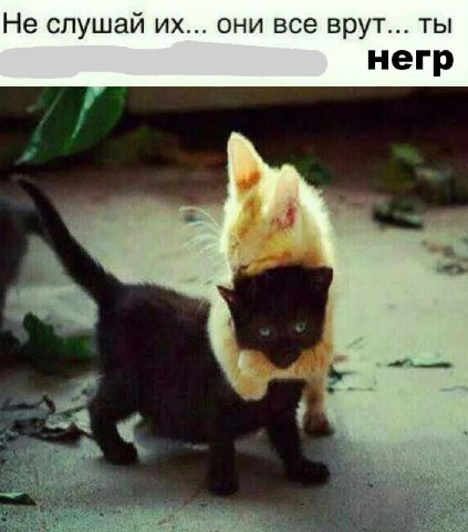Не слушай они все врут... ты негр