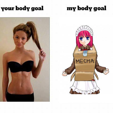 my body goal