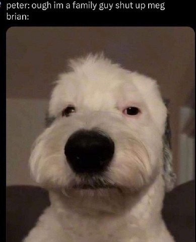 peter: ough a family guy shut up meg brian: