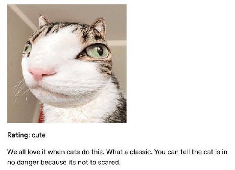 Rating: cute We all love it when cats this. What a classic. You can tell the cat is in no danger because its not to scared.