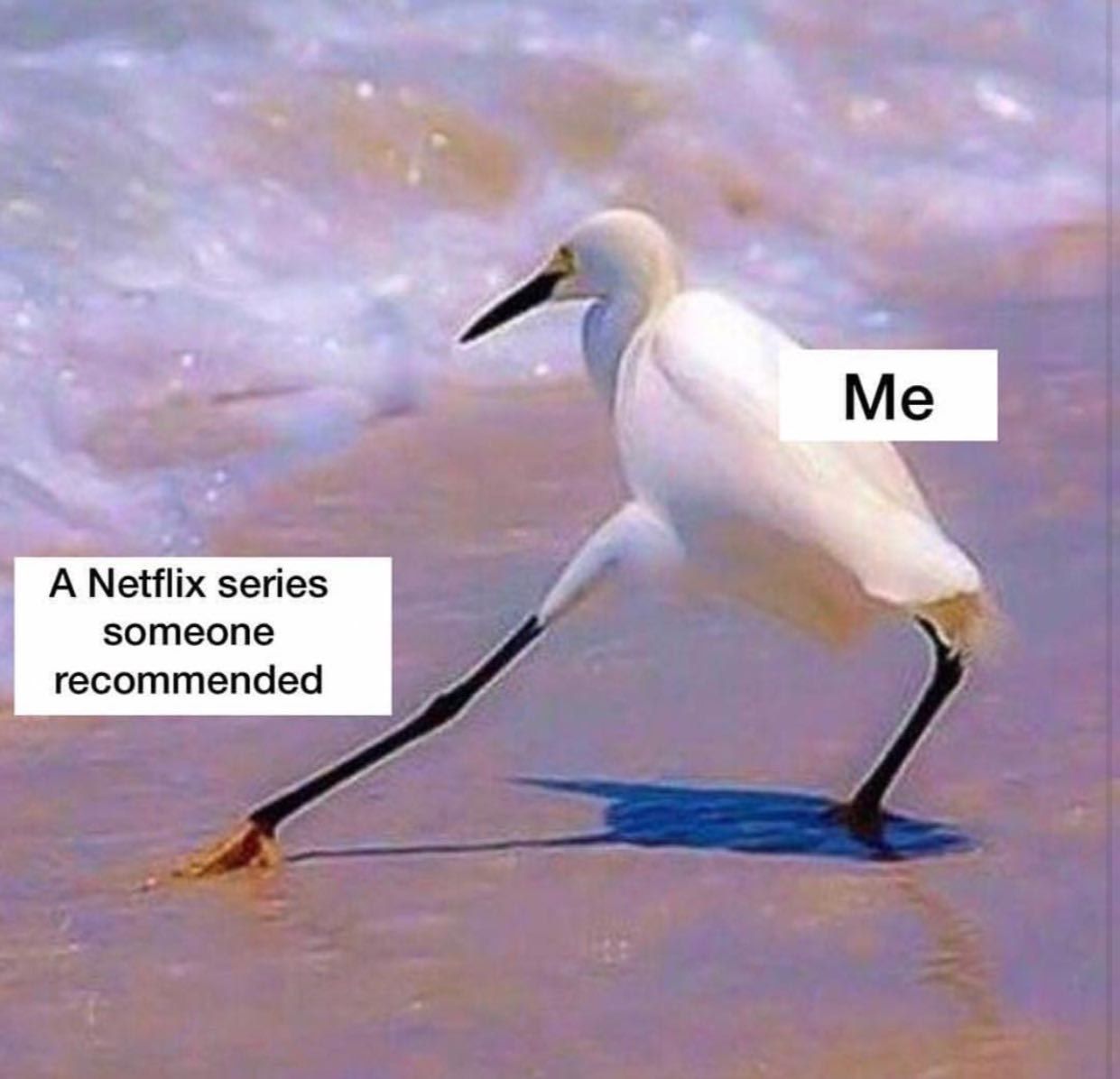 a a Me ANetflix series зотеопе 4 гесоттепаеа 7