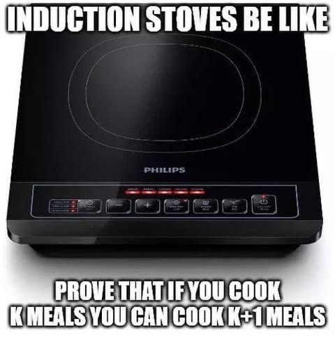 INDUCTION STOVES BE LIKE PROVE THAT COOK MEALS YOU CAN COOK MEALS