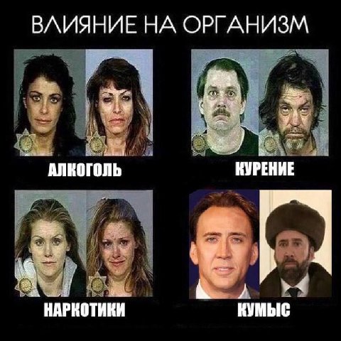 ВЛИЯНИЕ НА ОРГАНИЗМ a АЛКОГОЛЬ КУРЕНИЕ НАРКОТИКИ КУМЫС