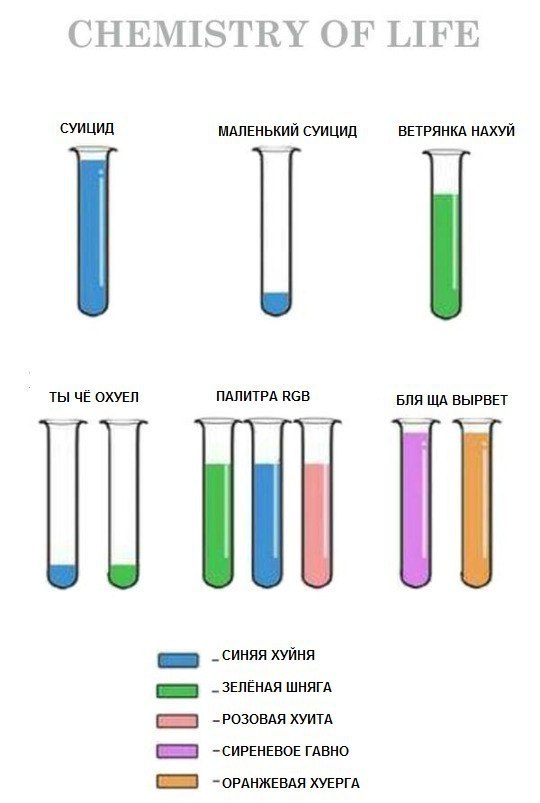 CHEMISTRY OF LIFE СУИЦИД МАЛЕНЬКИЙ СУИЦИД ВЕТРЯНКА НАХУЙ ТЫ ЧЁ ОХУЕЛ ПАЛИТРА ВСВ БЛЯ ВЫРВЕТ СИНЯЯ ХУЙНЯ ШНЯГА -РОЗОВАЯ ХУИТА -СИРЕНЕВОЕ ГАВНО -ОРАНЖЕВАЯ ХУЕРГА