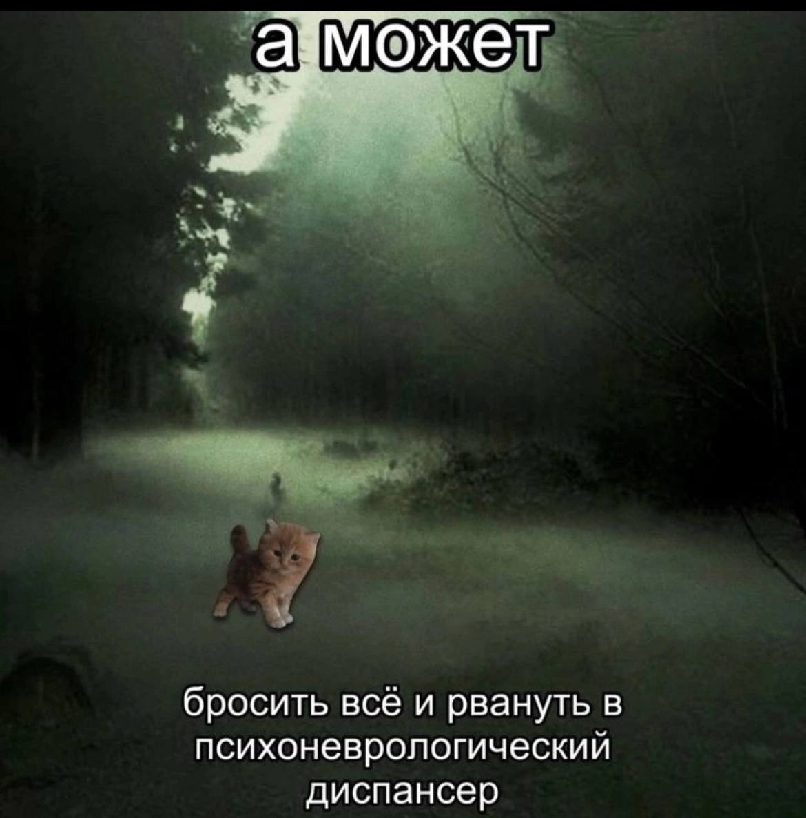 азможет бросить все и рвануть в психоневрологический диспансер