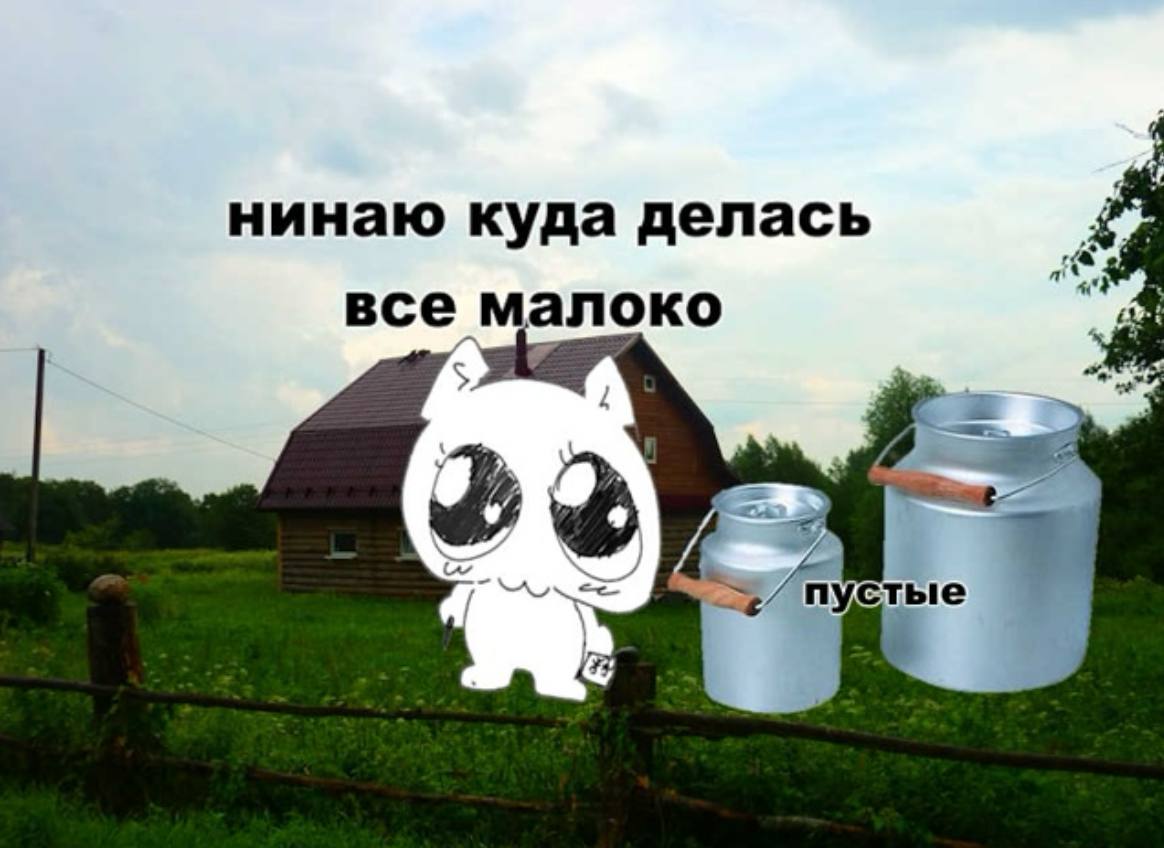 нинаю куда делась все малоко 2%) пустые