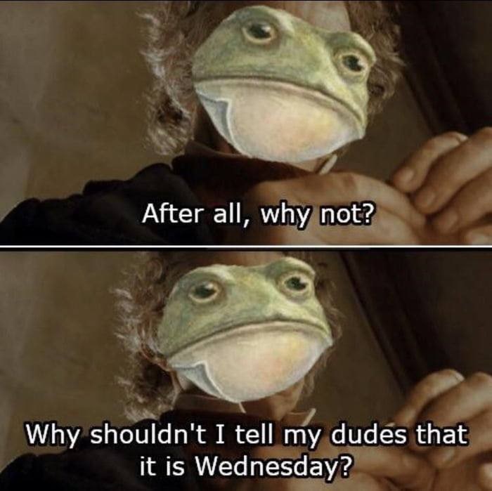 After all, why not? Why shouldn't I tell my dudes that it is Wednesday?