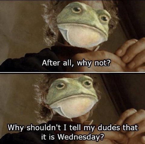 After all, why not? Why shouldn't I tell my dudes that it is Wednesday?