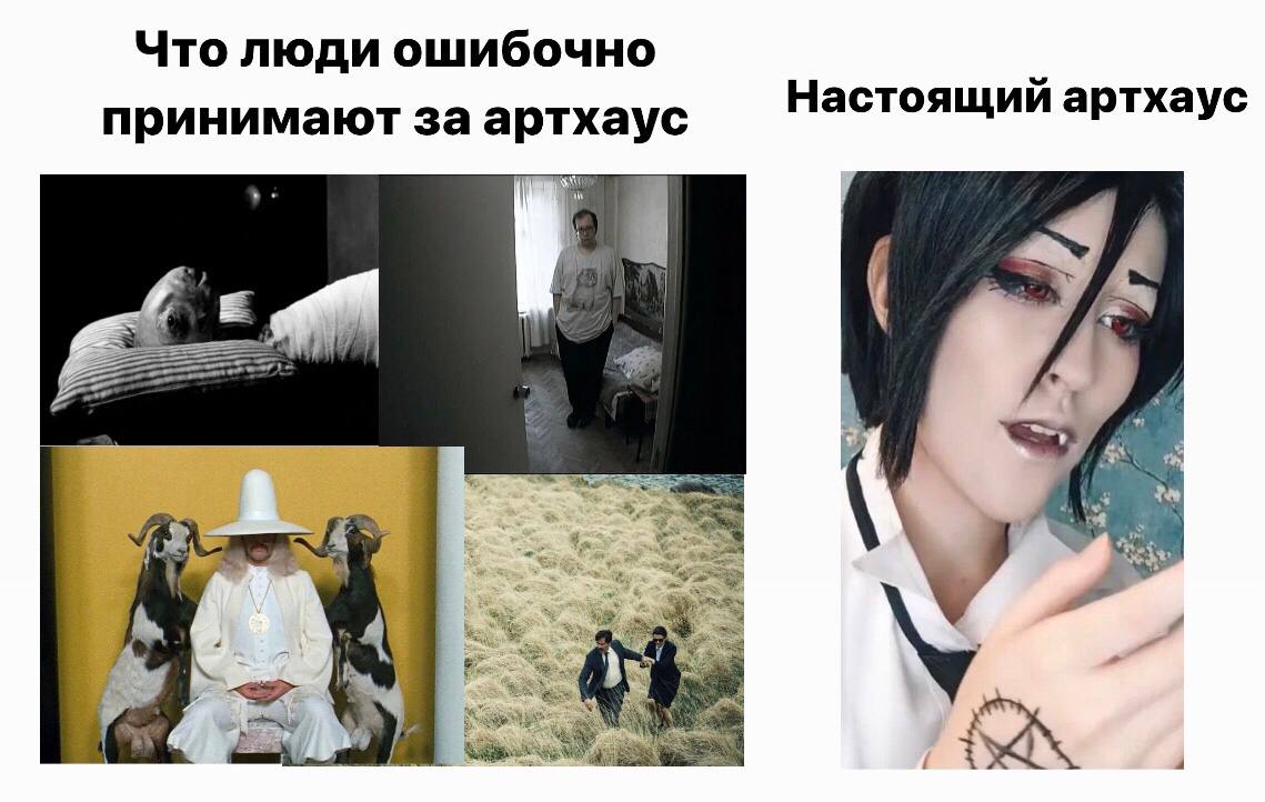 Что ошибочно Настоящий артхаус принимают за артхаус щии артхау у 3 Wwe 1% 4 4 7. 71