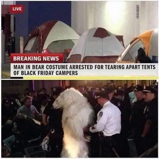 LIVE 14 BREAKING NEWS MAN IN BEAR COSTUME ARRESTED FOR TEARING APART TENTS OF BLACK FRIDAY CAMPERS