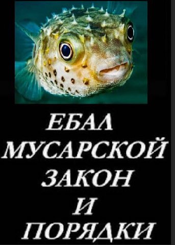 МУСАРСКОП ЗАКОН И ПОРЯДКИ
