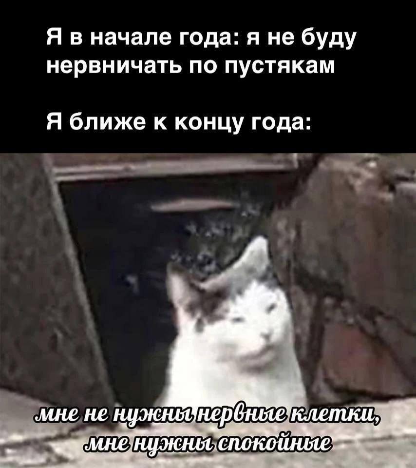 Я в начале года: я не буду нервничать по пустякам Я ближе к концу года: мне не нужноднервные