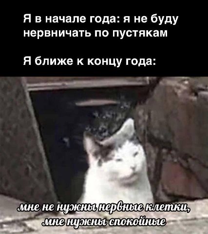 Я в начале года: я не буду нервничать по пустякам Я ближе к концу года: мне не нужноднервные