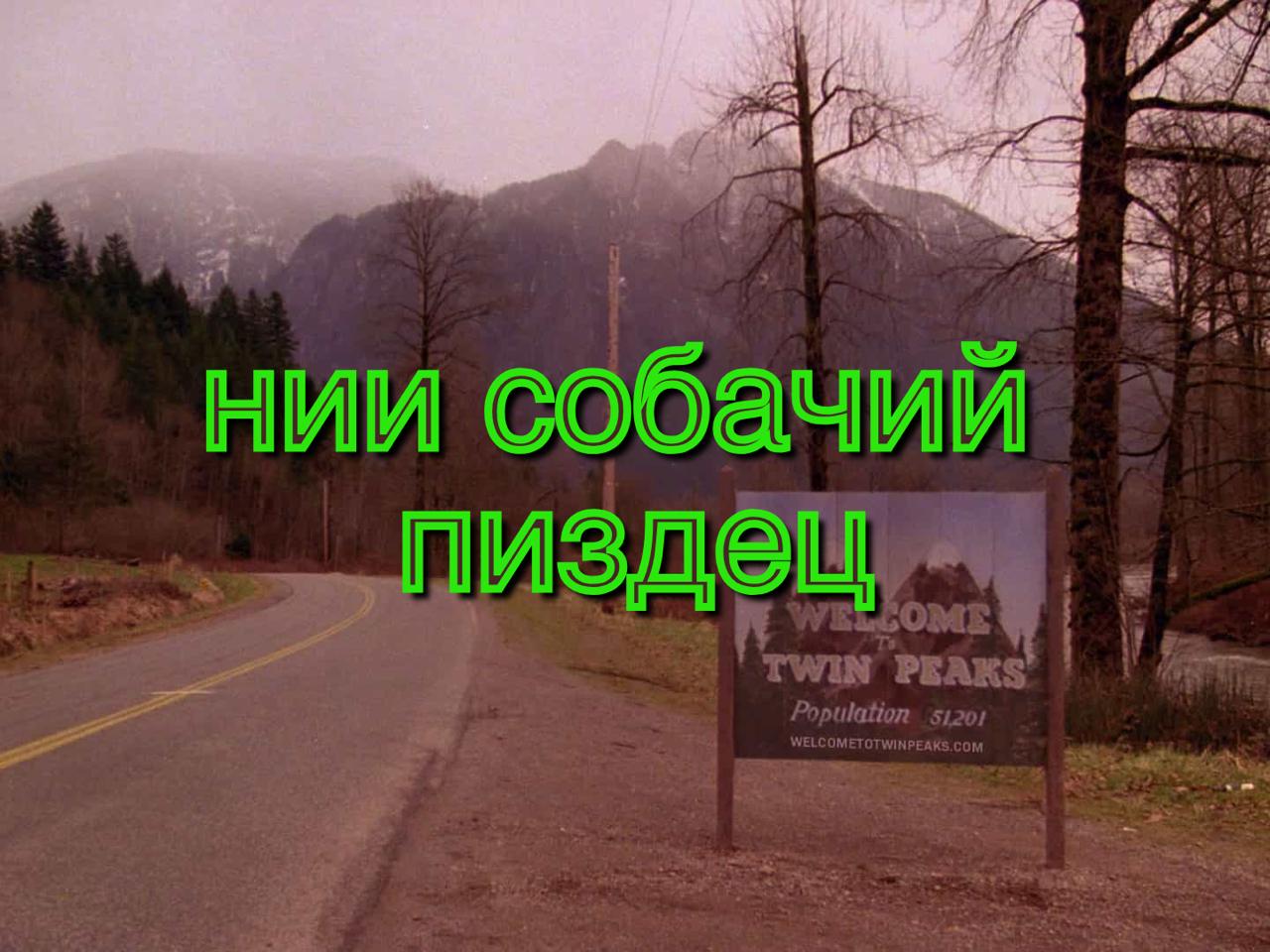 НИИ собачий