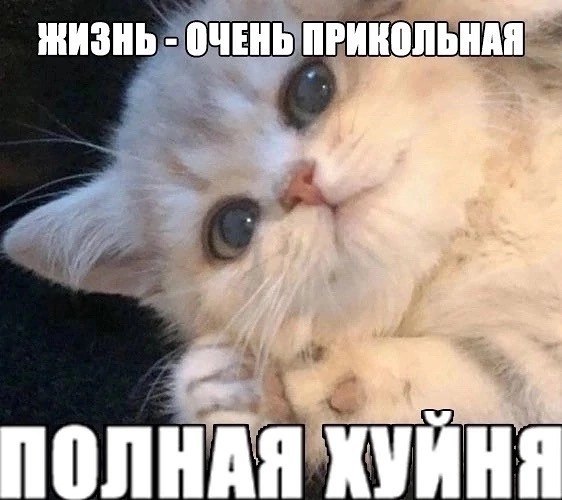 ЖИЗНЬ ОЧЕНЬ