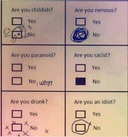 Are you childish? Are you nervous? Yes Are you paranoid? Are you racist? С] Yes Yes whye Are you drunk? Are you an idiot? Yes Yes