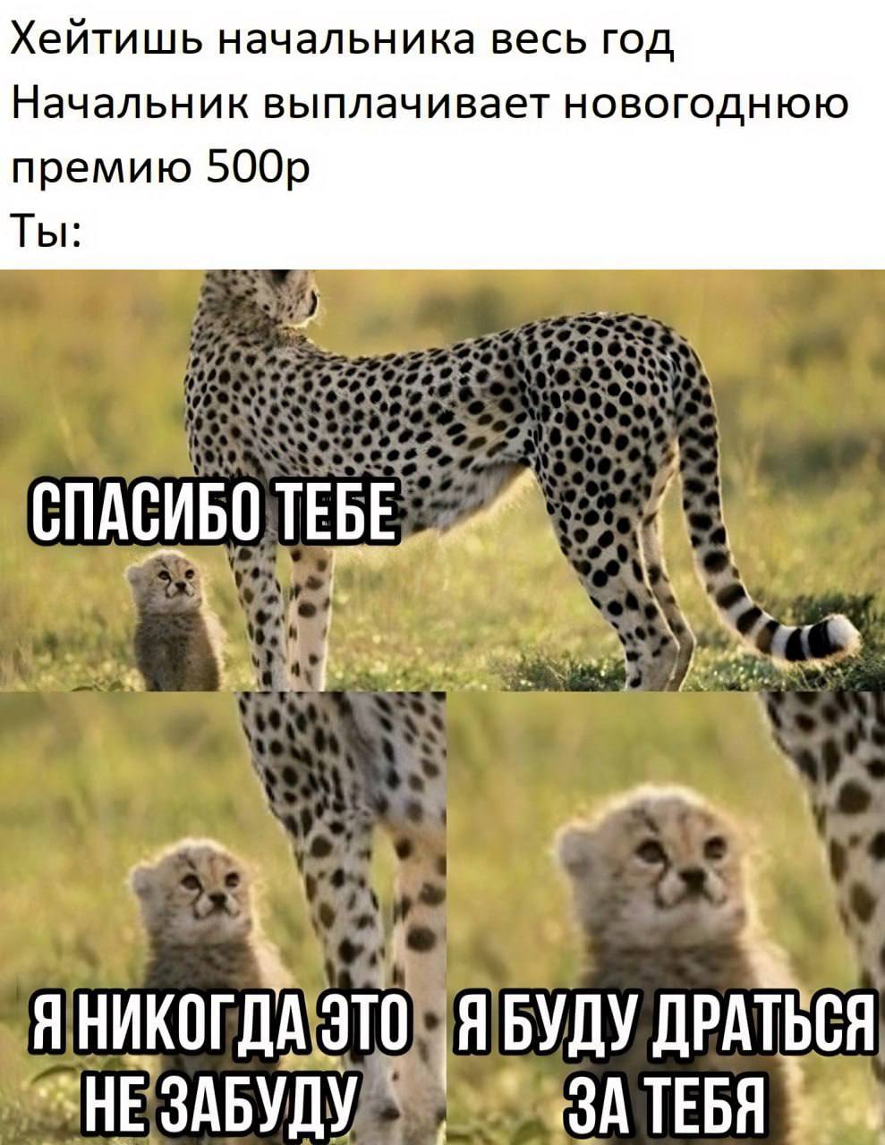 Хейтишь начальника весь ГОД Начальник выплачивает НОВОГОДНЮЮ премию Ты Я УДУ ДРАТЬСЯ ЗАБУДУ ТЕБЯ
