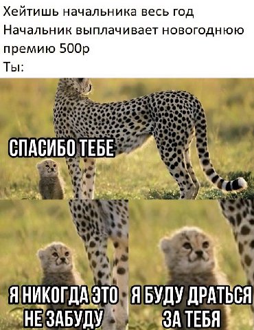 Хейтишь начальника весь ГОД Начальник выплачивает НОВОГОДНЮЮ премию Ты Я УДУ ДРАТЬСЯ ЗАБУДУ ТЕБЯ